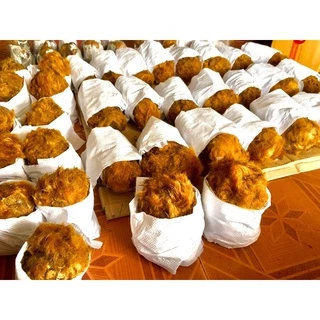 ว่านลูกไก่ทอง ไม้มงคลโบราณ ซื้อ3แถมเล็ก1 ขนสีทองสวย ว่านลูกไก่ปลูกไว้เสริมดวงและบารมี เป็นไม้มงคลโบราณ