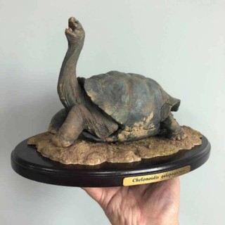 Tortoise Sculpture Lonesome George ขนาดยาว 20 ซม สูง 17ซม