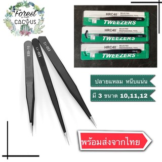 ฟอร์เซป forcep แสตนเลส อย่างดี สำหรับคีบเมล็ด ผสมเกสร แคคตัส กระบองเพชร