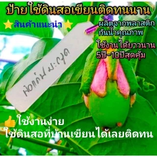 ป้ายชื่อต้นไม้กันน้ำ👍📌ชนิดใช้ดินสอเขียนติดง่าย ติดทนทน(📌💥ป้ายพลาสติกอ่อน)⭐ใช้งานได้นาน3ปีถึง10ปี⭐แพ็ค50ชิ้น,แพ็ค100ชิ้น⭐