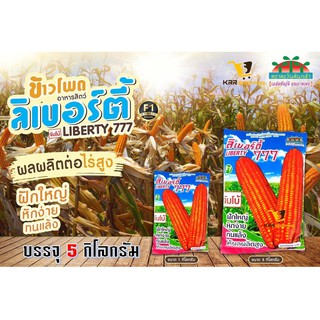 เมล็ดพันธุ์ ข้าวโพดอาหารสัตว์ ลิเบอร์ตี้ 777 จัมโบ้ (5 กิโลกรัม) ลิเบอร์ตี้ จัมโบ้ ลิเบอร์ตี้จัมโบ้ ลิเบอร์ตี้ 777จัมโบ้