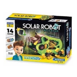 solar robot   หมูป่า