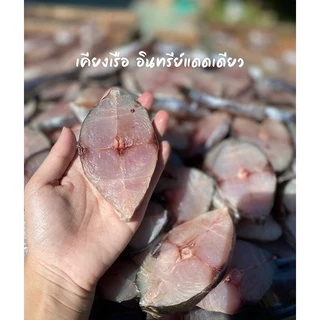 ปลาอินทรีย์แดดเดียว/แบบแว่นลำตัว/พร้อมส่ง/สด/ใหม่/ขนาด150-160กรัมราคาดีที่สุด/เราใส่ใจทุกขั้นตอนการผลิต/เค็มกำลังดี