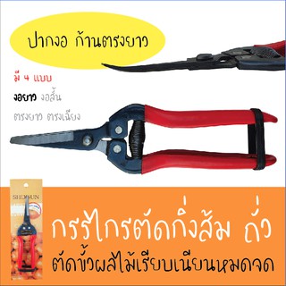 กรรไกรตัดส้ม *ปากงอ ก้านตรงยาว* สำหรับตัดขั้วผลไม้โดยเฉพาะ (Gardening Pruning Shear) กรรไกรตัดถั่ว กรรไกรตัดกิ่ง