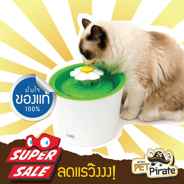Catit น้ำพุแมวดอกไม้กลม ขนาด 3 ลิตร มีที่บอกระดับน้ำ สะดวกเติม กระตุ้นแมวให้อยากกินน้ำ เลี่ยงโรคไต น้ำพุแมว ของแท้ 100%