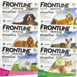 Frontline for dog