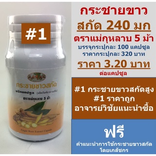 กระชายขาวสกัด แม่กุหลาบ 5 ม้า แคปซูลละ 316 mg 100 แคปซูล มี อย. Finger Root Extract Five Horses Brand 100 capsules