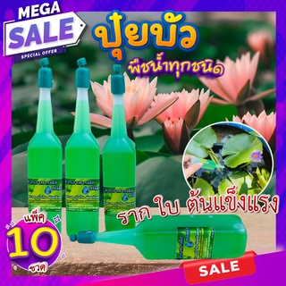 ปุ๋ยบัว(แพ็ค 10 ขวด) 🍀 ปุ๋ยน้ำไฮโดรโปนิกส์ 38 ml. บำรุงทุกส่วน ราก ใบ ต้นแข็งแรง ปุ๋ยบัวเร่งโต ปุ๋ยไม้น้ำทุกชนิด