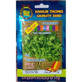 เมล็ดพันธุ์ หอมป้อม ผักชี ☘☘ ผักชี พันธุ์ ประกายเพชร 🌱บรรจุ 10กรัม/850เมล็ด