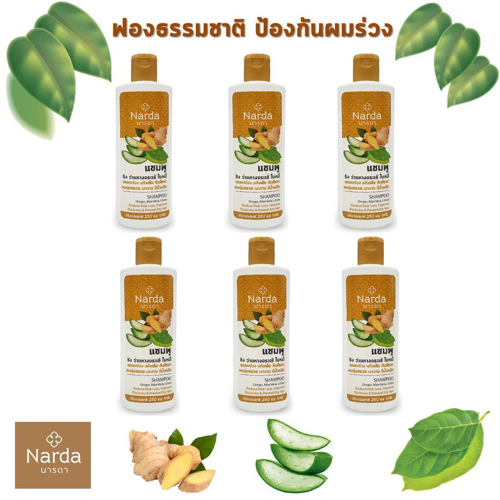 Narda นารดาแชมพู ขิง ว่านหางจระเข้ ใบหมี่ 250ml x 6 ขวด