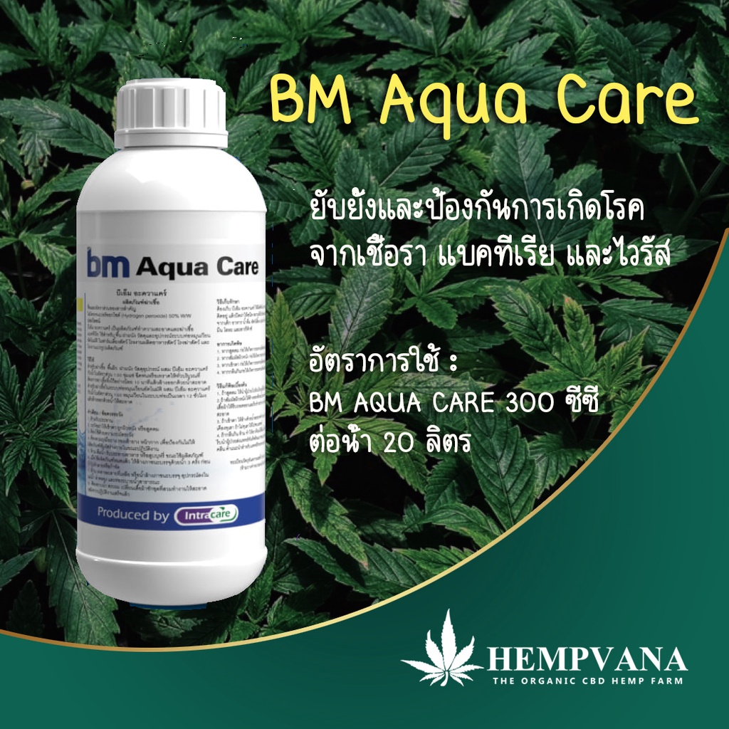 BM Aqua Care-ป้องกันและยับยั้งเชื้อรา แบคทีเรีย และไวรัส ในต้นกัญ. ช. และพืชทุกชนิด (มาใช้ปุ๋ยกัญ....)