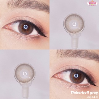 Candylens คอนแทคเลนส์กลิตเตอร์ Tinkerbell gray พร้อมส่งแบบปกติ และค่าสายตาสั้น 0.00- 10.00