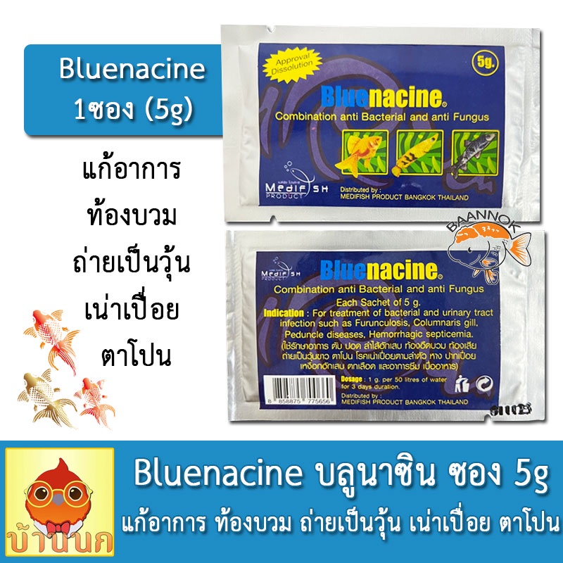 Bluenacine บลูนาซิน ซอง 5g (Anti-Bacterial) สำหรับปลาสวยงาม ปลากัด ปลาทอง แก้อาการ ท้องบวม ถ่ายเป็นวุ้น เน่าเปื่อย ตาโปน