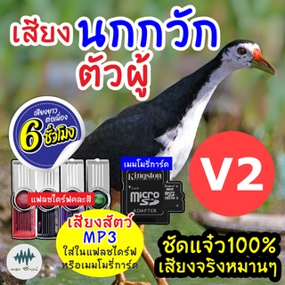 (MP3 เสียงต่อสัตว์) เสียงนกกวักตัวผู้ V.2 [6ชั่วโมง] ใส่แฟลชไดร์ฟ/เมม มีเก็บเงินปลายทาง เสียงดี ชัด100% ไม่มีโฆษณาแทรก