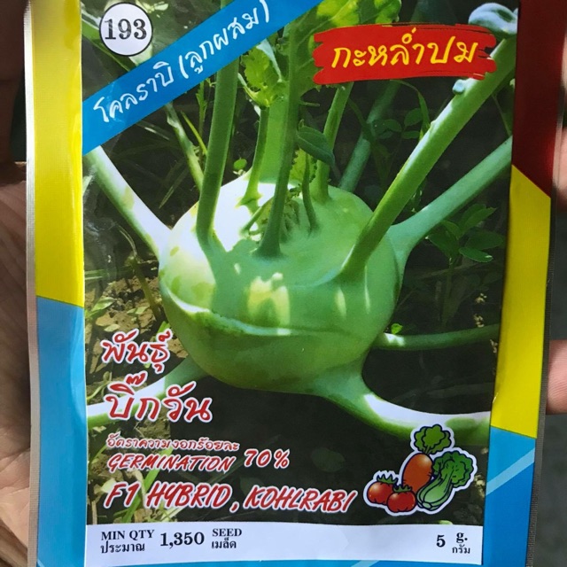 กะหล่ำปม โคราบี้ (ประมาณ 1000 เมล็ด)