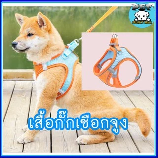 PP-043 เสื้อรัดอก + สายจูงสัตว์เลี้ยง 🎉 เสื้อกั๊กพร้อมเชือกจูง สำหรับสุนัขและแมว แข็งแรง ยืดหยุ่น ใช้งานสะดวก พร้อมส่ง