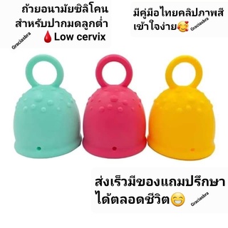 ถ้วยอนามัยปากมดลูกต่ำ1แถมแก้วฆ่าเชื้อคละสี+แปรงจิ๋ว+ถุงผ้า+ที่คีบกันร้อน พร้อมส่งเร็ว