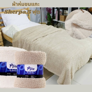 SHERPA THROW ผ้าห่มขนแกะ ขนนุ่ม ขนาด 5 ฟุต ใช้เป็นพร็อพถ่ายรูปสินค้าได้ มินิมอล ผ้าห่ม ผ้าขนแกะ ส่งไวมาก