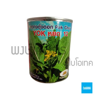 เมล็ดพันธุ์กวางตุ้งดอกหยก 12 Pak Choy ตราภูเขาทอง 100 กรัม  เมล็ดพันธุ์กวางตุ้งดอก เมล็ดพันธุ์ผัก พงษ์เกษตรอุตรดิตถ์