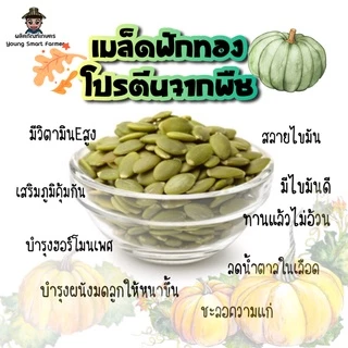 เมล็ดฟักทองดิบ เมล็ดฟักทองอบ รสธรรมชาติ ไม่ใส่เกลือ 1 Kg.(Pumpkin Seeds)