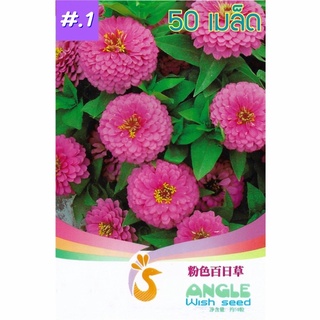 เมล็ดดอกบานชื่น คละสี 50เมล็ดเมล็ด  (สีชมพู)บานชื่นซ้อน Zinnia Flower  เมล็ดพันธุ์นำเข้า   พันธุ์แท้100%  FL-02401