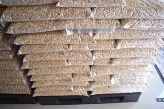 เม็ดมะม่วงชนิดหักใหญ่(ดิบ) 1 kg. ขายปลีก-ส่ง ไม่เหม็นหืน คุณภาพดี