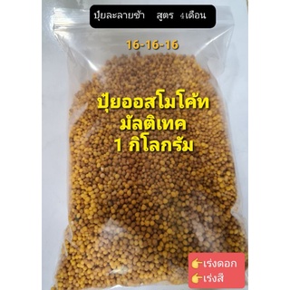 ปุ๋ยออสโมโค้ท  มัลติเทค ปุ๋ยละลายช้า 4 เดือน สูตร 16-16-16  ( 1 kg.)