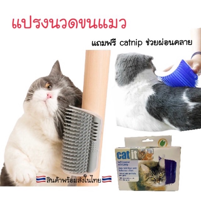 New แปรงขนแมว ติดเสา แปรงนวดขนแมว#P027
