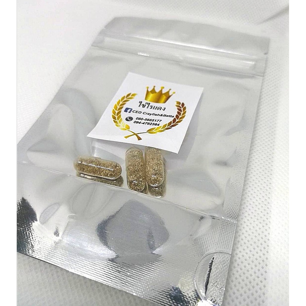 ไข่ไรแดงแคปซูล (Macrocopa) (แพ็ค 3 แคปซูล)