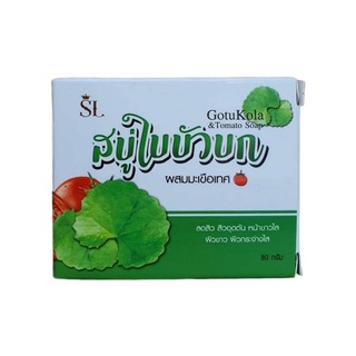 สบู่ใบบัวบก ของแท้ สบู่ล้างหน้า สบู่รักษาสิวทุกชนิด สบู่ใบบัวบกผสมมะเขือเทศ ลดสิว สิวอักเสบ ขนาด 80 กรัม (1 ก้อน)