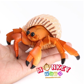 Monkey Toys - โมเดลสัตว์ ปูเสฉวน ครีม ขนาด 12.00 CM (จากหาดใหญ่)