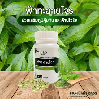 🌿ฟ้าทลายโจร ชนิดแคปซูล Prajuab HERBS🌿 60 แคปซูล เกรดพรีเมี่ยม🌿