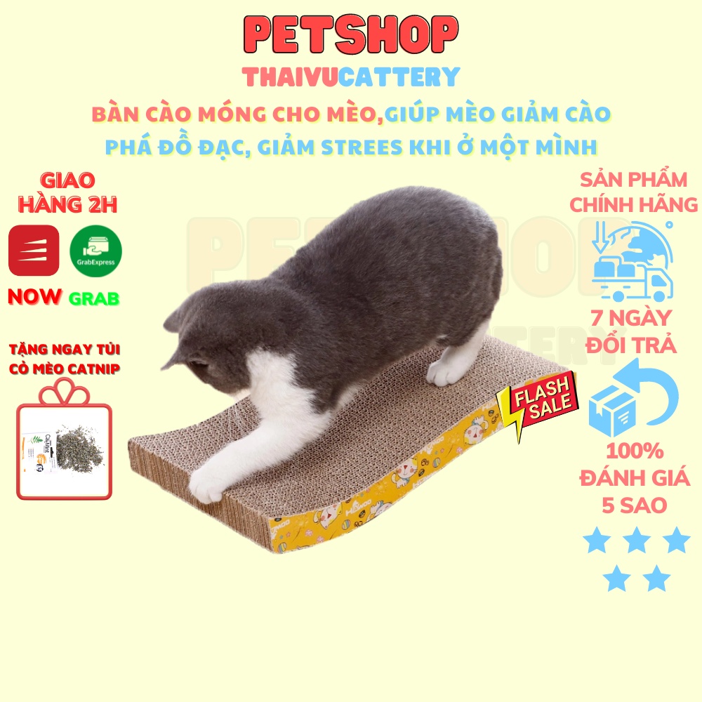 โต๊ะลับเล็บแมวหยักขนาด 43X30X30 สําหรับแมวพร้อมกระเป๋ามิ้นท์