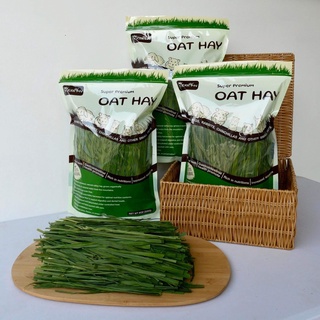 หญ้าโอ๊ตออร์แกนิค - Oat hay by Merryn Exotic (226G)