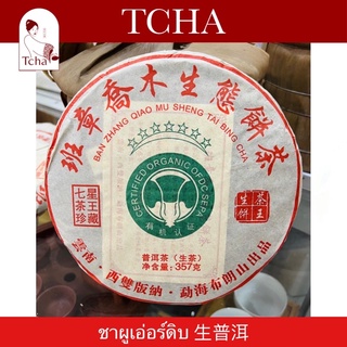 TCHA | ชาผูเอ่อร์ดิบยูนนาน 生普洱 Raw Puer Tea For Yunnan