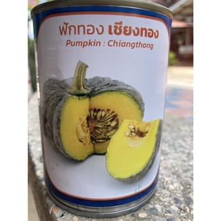 เมล็ดพันธุ์ ฟักทอง เชียงทอง(30g.)🥝หมดอายุ01/2567🥝ผิวขรุขระ เนื้อทอง หนักแน่น 3-4 ก.ก