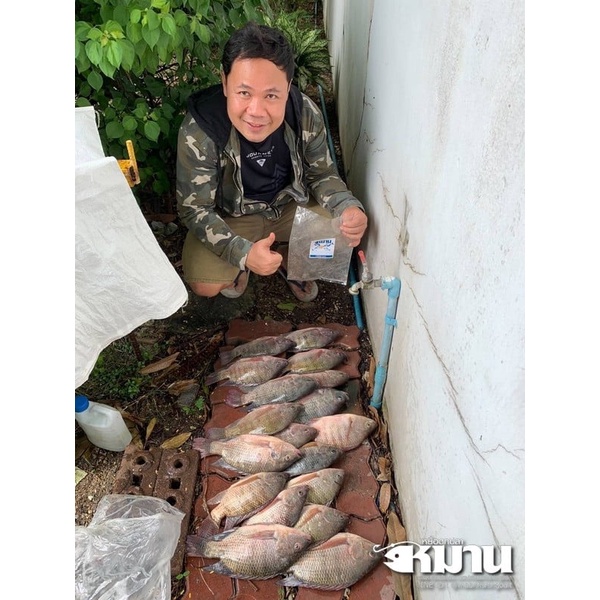 เหยื่อหมาน | เหยื่อตกปลาหมาน รำโปรตีน สูตรเข้มข้น ชุด 2 ถุง (รวม 900 กรัม) - รูปที่ 5