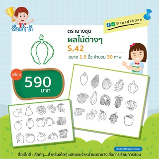 ตรายางชุดผลไม้ต่างๆ ขนาด 1.5 นิ้ว S.42 จำนวน 30 ภาพ