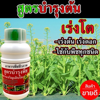 🛒พร้อมส่ง🛒 ปุ๋ยผักสวนครัว ฮอร์โมนบำรุงพืช 500 ซีซี  ปุ๋ยเร่งราก เร่งต้น เร่งใบ ปุ๋ยทางใบ เร่งแตกยอด เร่งโต เร่งต้นใบ