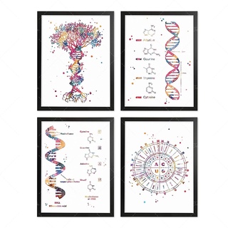 ชุดภาพวาดผ้าใบ ไร้กรอบ Dna Genetic Code Dna Tree Office Decor Science Wall Art Poster Biology Art Genetic Code Circle Art Chemistry