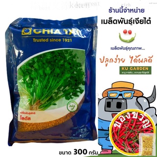 CHIATAI  ผักชี เจียไต๋ โลตัส ตราเครื่องบิน ขนาด 300 กรัม ผักชี ผักสวนครัว เมล็ดพันธ์ เมล็ดผักชี เมล็ดพันธุ์ผักชีบ้านและส