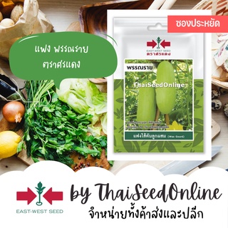 VP3 ซฟ เมล็ดพันธุ์ แฟงไส้ตัน ลูกผสม พรรณราย 20เมล็ด ตราศรแดง แฟง Wax Gourd