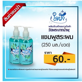 แชมพูสระผม สินค้าใจฟ้า ขนาด 250 มล.