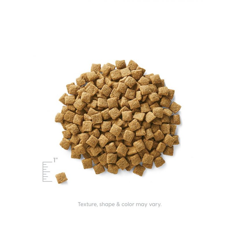 [ ส่งฟรี ]อาหารเม็ดสุนัขโต Solid Gold Holitique Blendz  300g