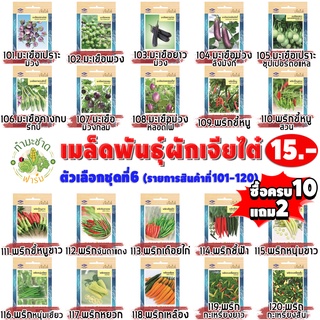 เจียไต๋#6 [10แถม2 เลือกของแถมได้] เมล็ดพันธุ์ผักสวนครัว เจียไต๋15฿ ชุดที่6 เม็ดผัก มะเขือ พริก มะเขือพวง มะเขือเปราะ