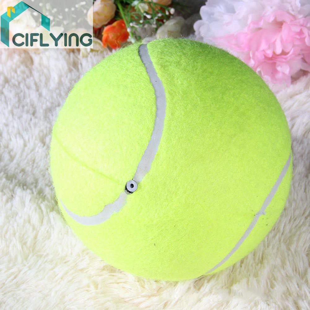ciflying 9.5' Big Giant Pet Dog Puppy Tennis Ball Thrower Chucker Launcher Play Toy - รูปที่ 5