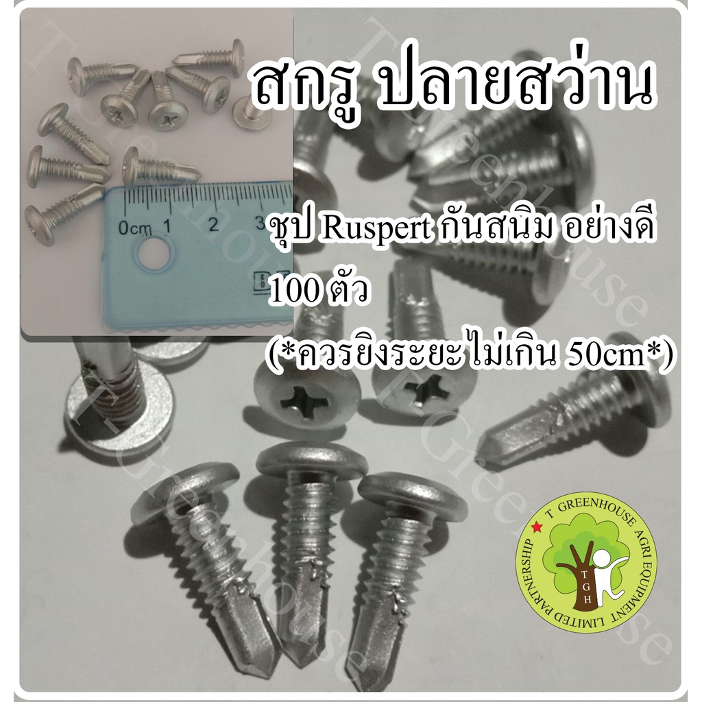 สกรูปลายสว่านหัวเวเฟอร์ ชุป Rustpert 500ตัว