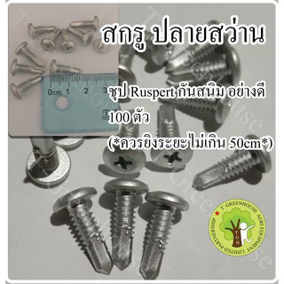 สกรู ปลายสว่านหัวเวเฟอร์ 500ตัว