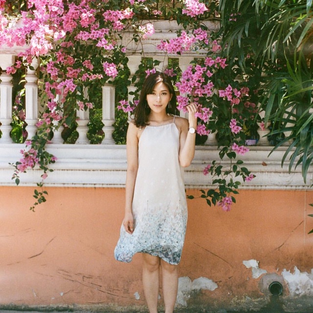 The garden wallflower dress