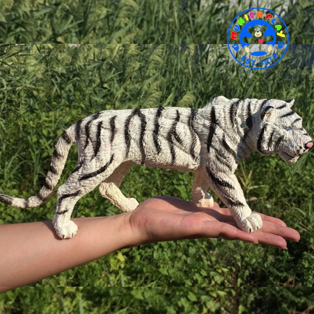 Munich Play - โมเดลสัตว์ Tiger เสือโคร่ง เผือก ขนาด 31.00 CM (จากหาดใหญ่)